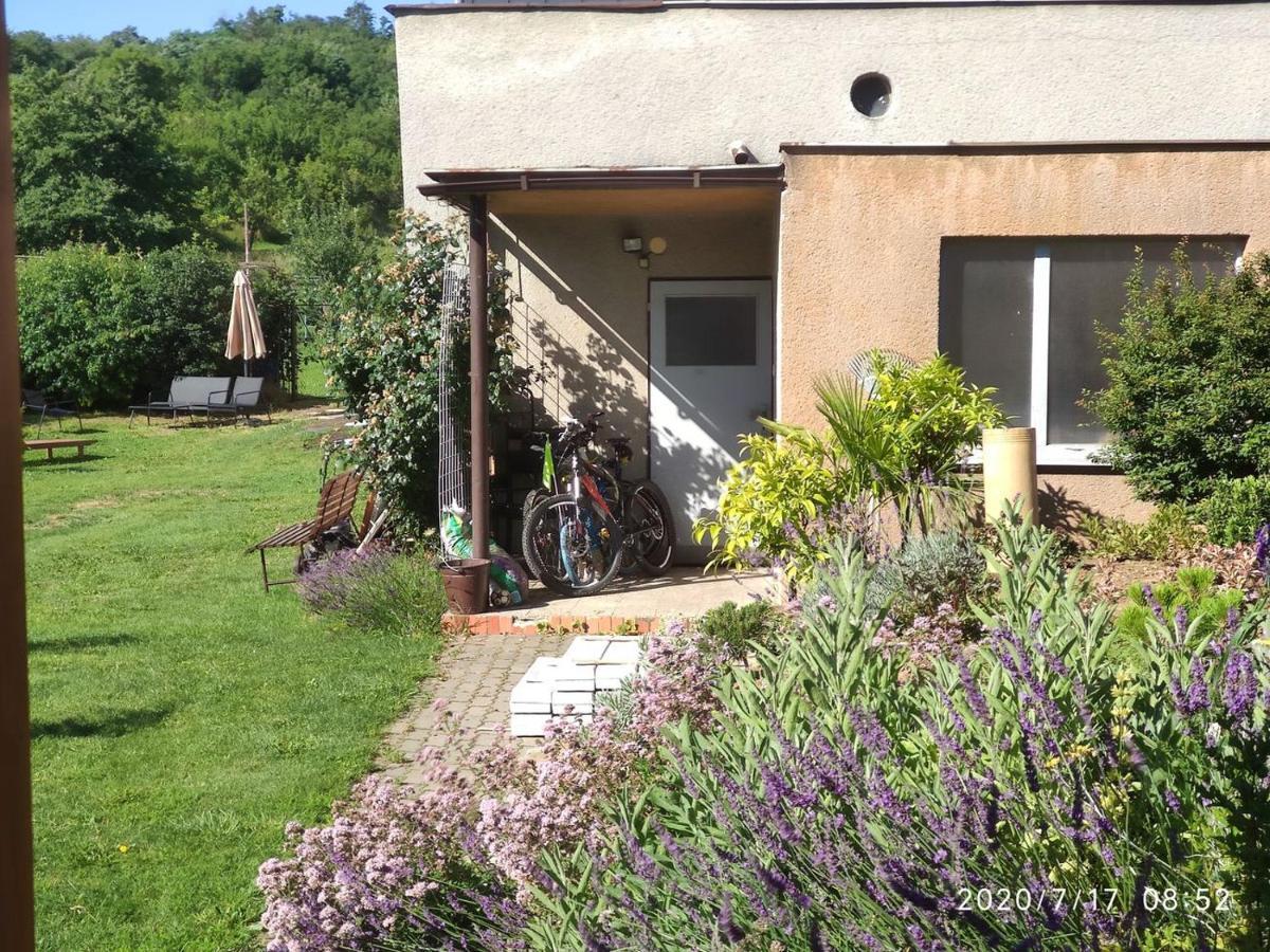 Apartman Lenka II Borsice Exterior photo